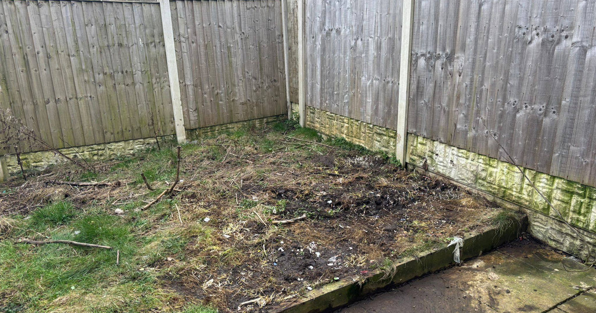 Cleared property after Senior Waste Removals collection