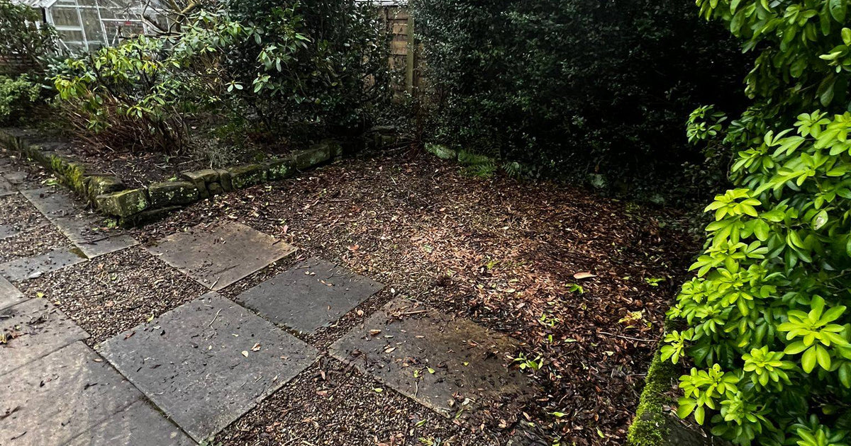 Garden cleared after Senior Waste Removals collection