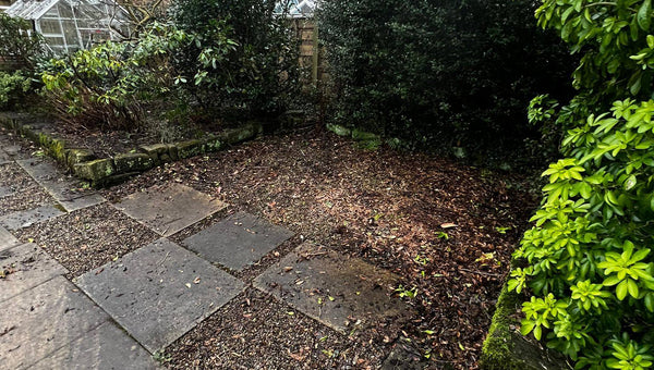 A garden cleared and tidied after a Senior Waste Removals job