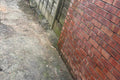 Pathway cleared after Senior Waste Removals collection