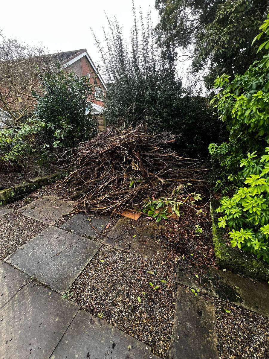 Before waste removal